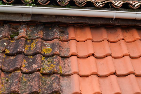 Industrial Roof Cleaning in Wilmington